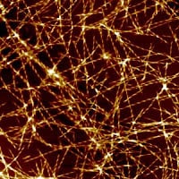This is an image, magnified a million times, of amyloid fibril, the type of protein structures that are formed in Alzheimer's. (Credit: Dr. Tuomas Knowles)