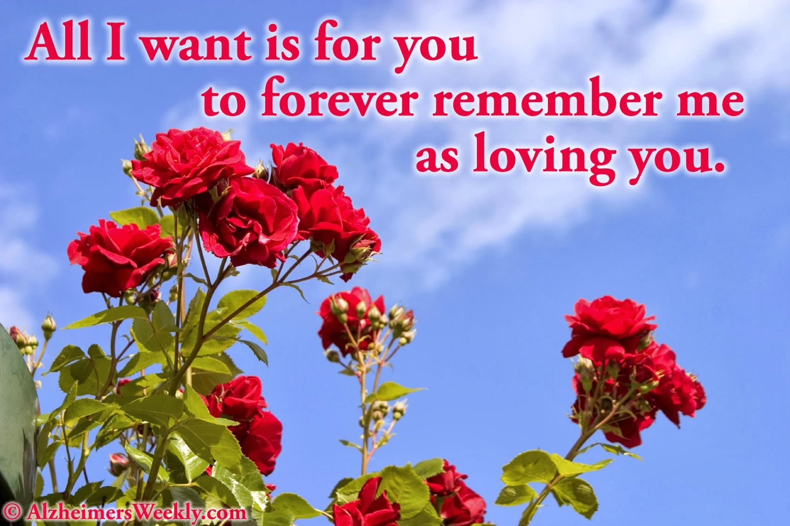 All I want is for you to forever remember me as loving you.