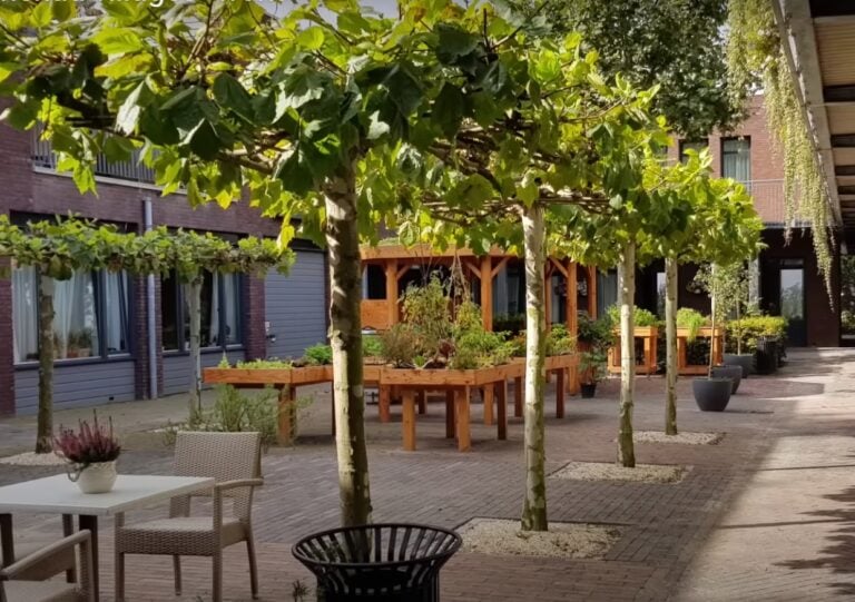 Dementia Village