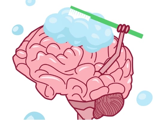 Toothbrush washing brain