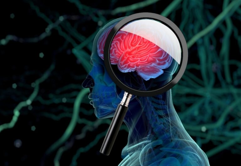 Researching the Brain