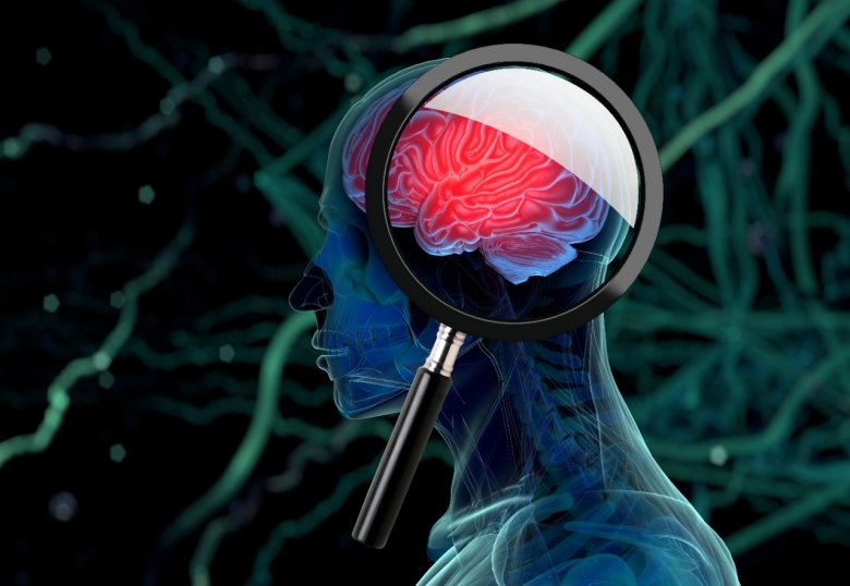 Researching the Brain
