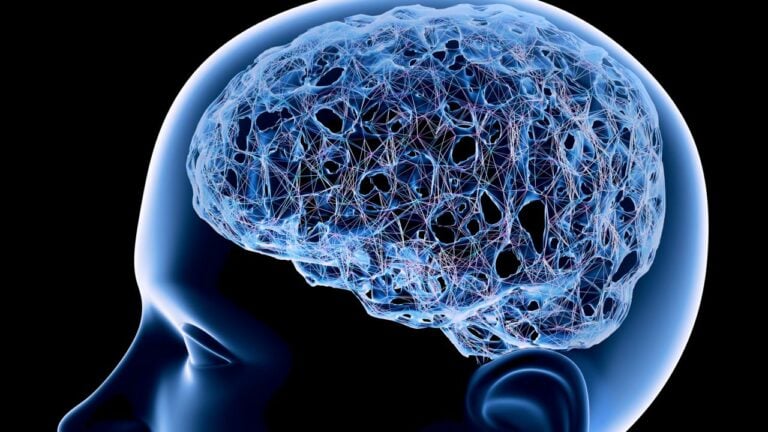 Thought-Network of a Brain