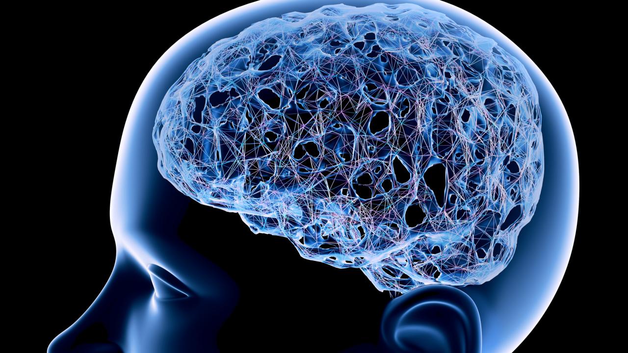 Thought-Network of a Brain