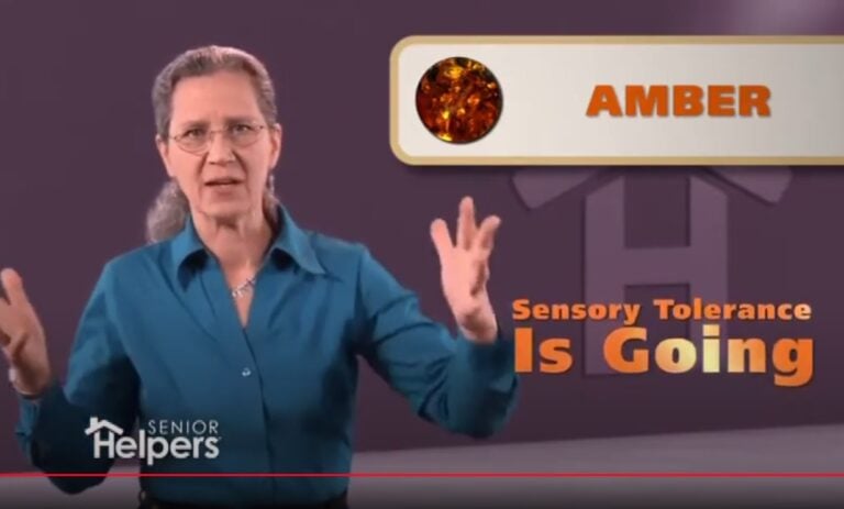 Teepa Snow, Dementia Expert, explaining the Amber stage of Alzheimer's