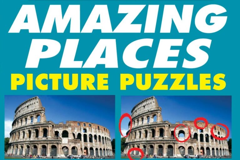 Picture Puzzle Book for Senior Citizens