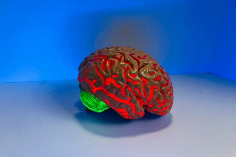 brain figurine
