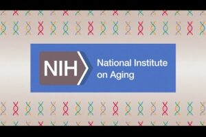 Genes surrounding the NIH - NIA logo