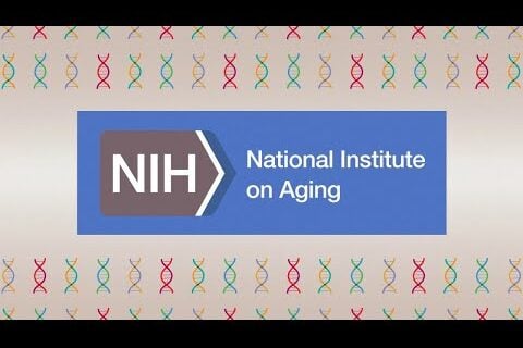 Genes surrounding the NIH - NIA logo