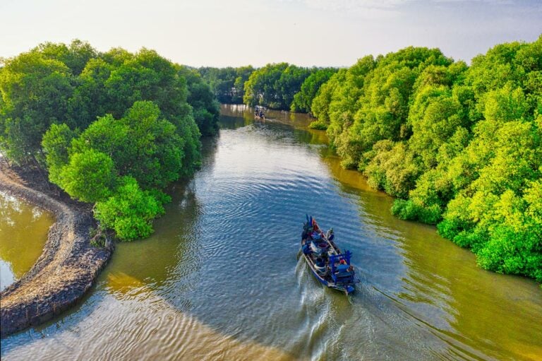 River and boat cut through jungle