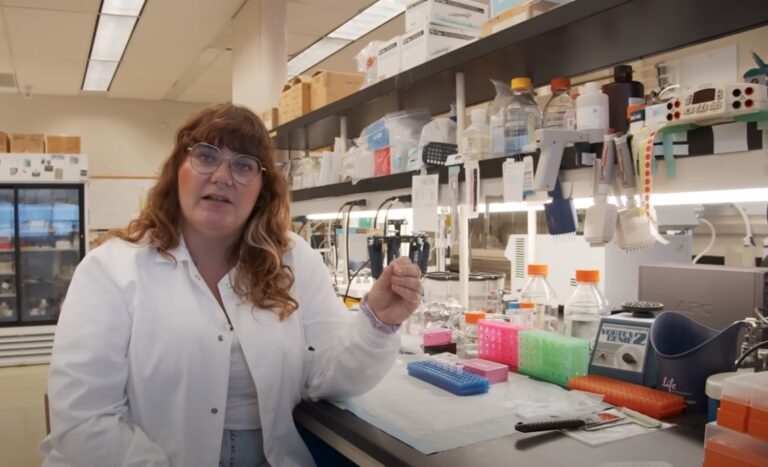 Claire's Alzheimer's Laboratory