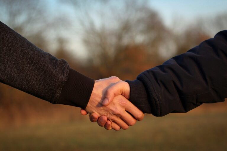 handshake, hands, friendship