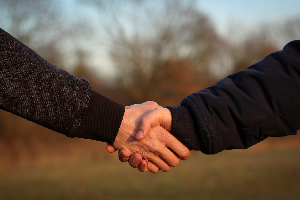 handshake, hands, friendship