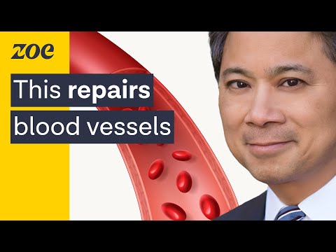 Dr. William Lee: "This Repairs Blood Vessels."