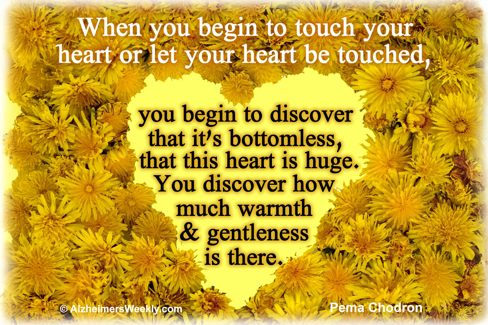 When you begin to touch your heart or let your heart be touched, you begin to discover that it's bottomless, that this heart is huge. You discover how much warmth & gentleness is there.