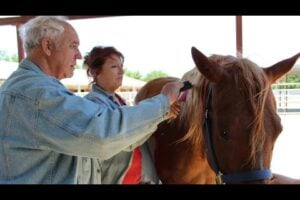 Man with dementia participating in horse therapy