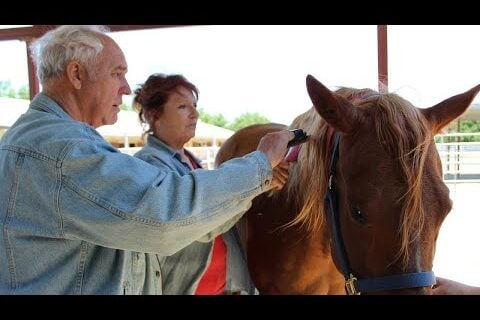 Man with dementia participating in horse therapy