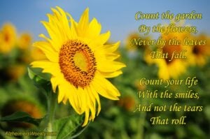 Count the garden by the flowers, never by the leaves that fall. Count your life with the smiles, and not the tears that roll.